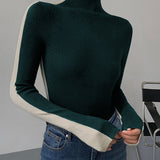 Fitted Turtleneck Long Sleeve Top