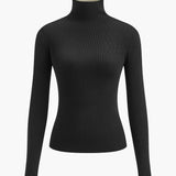 Fitted Turtleneck Long Sleeve Top