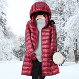 Ladies’ Quilted Jacket