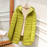 Ladies’ Autumn Puffer Jacket