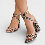 Leopard