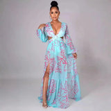 Floral Plunge Maxi Dress